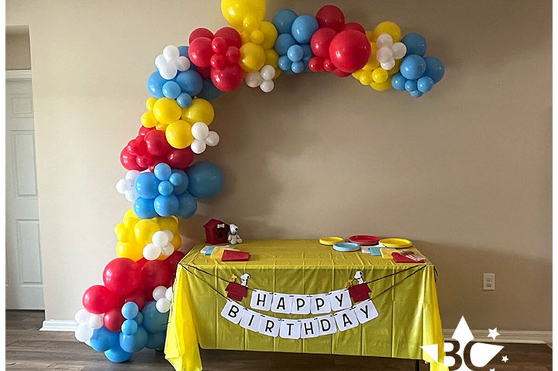Organic Balloons & Backdrops Rentals