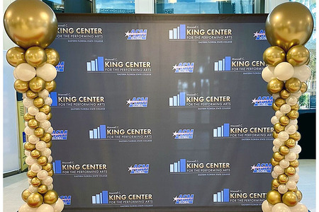 Roman Style Balloon Columns in front of step and repeat backdrop for a special reveal