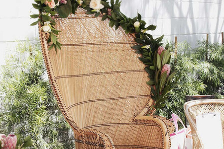 Event and Party Professionals in the Melbourne and Brevard area to help make your event a success from start to finish- Peacock Chair Rental